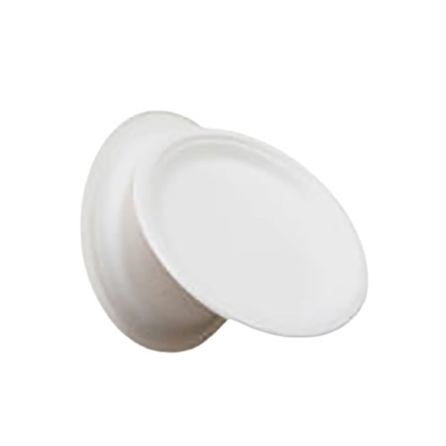 Disposable Plates