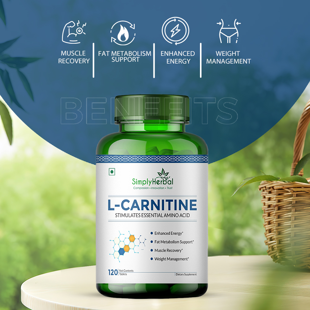 L-carnitine Pre Post Workout Supplement Tablet - Efficacy: Promote Nutrition