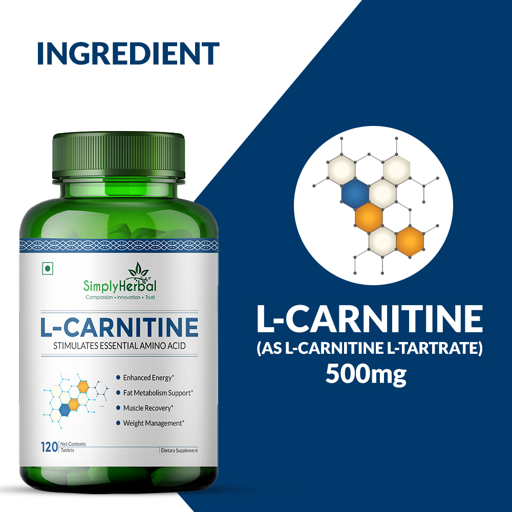 L-carnitine Pre Post Workout Supplement Tablet - Efficacy: Promote Nutrition