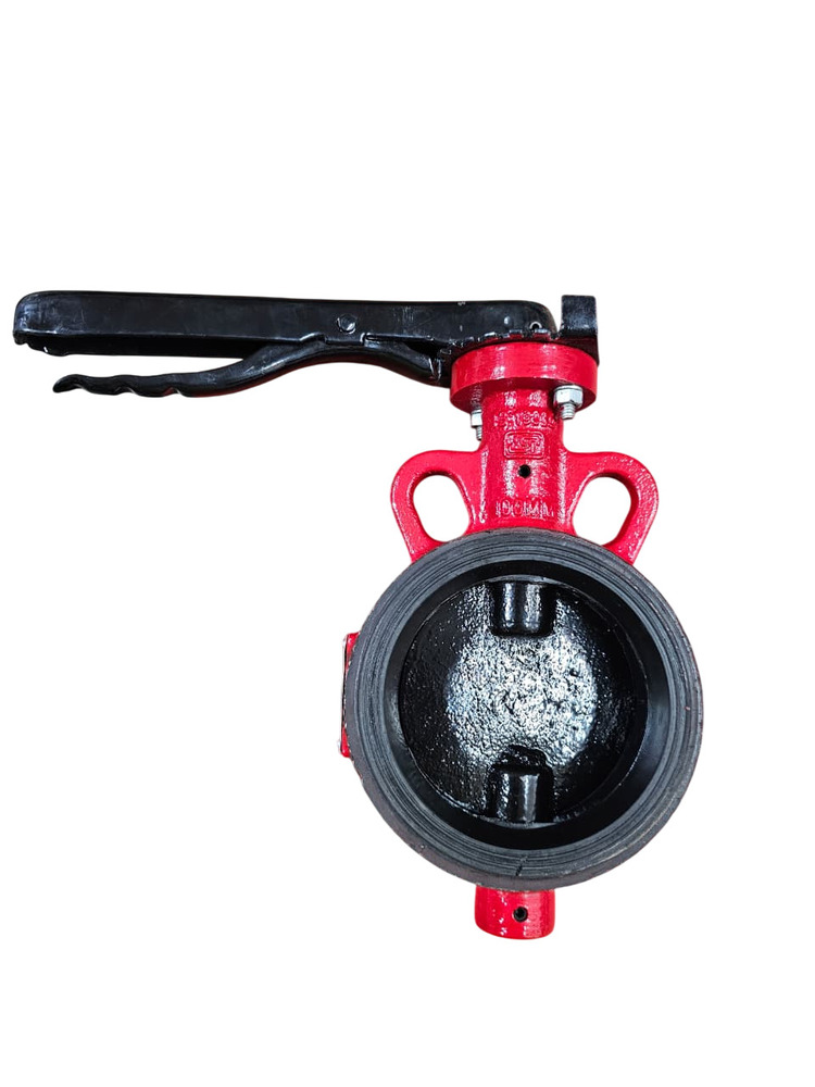 CI Butterfly Valve
