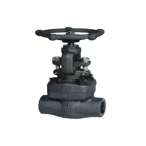 SW 800 Globe Valve