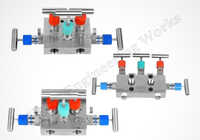 5-valve Manifold - Application: Industrial