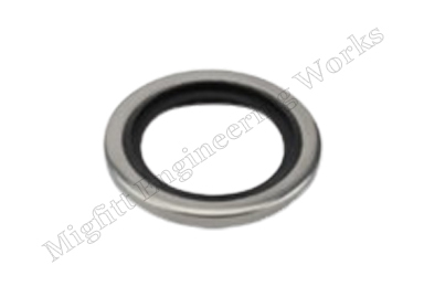 BS-BS Gasket