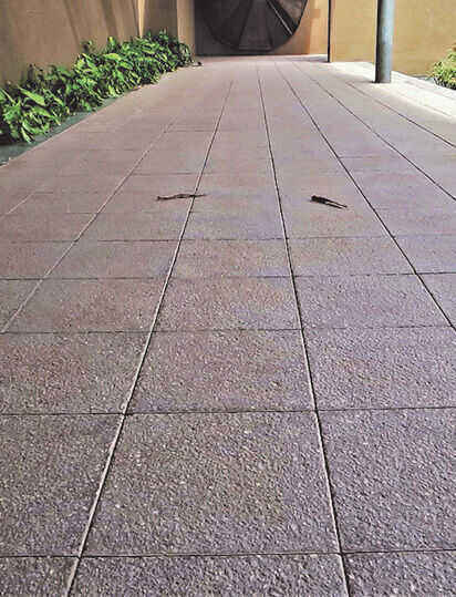 Concrete Paving Block