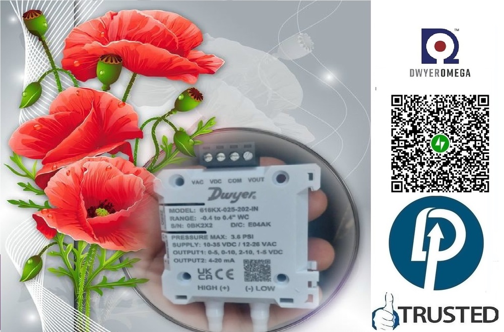 Series < 616KX <<Differential Pressure Transmitters MODEL :616KX-025-202-IN