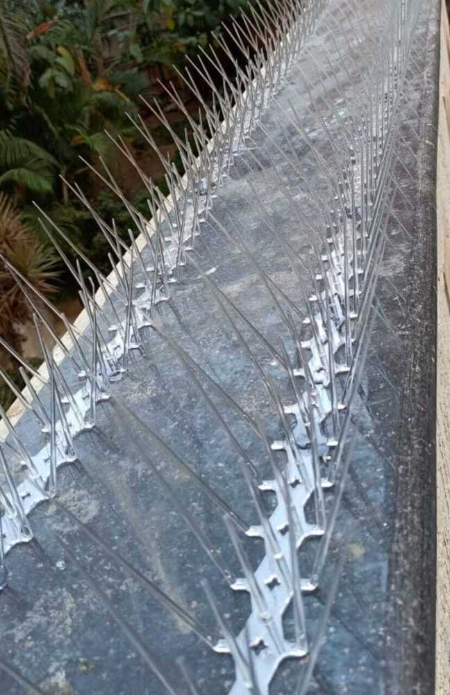 Bird Spikes