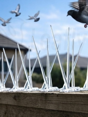 Bird Spikes - Polycarbonate 50cm, Clear, 30-40 Spikes, Corrosion Resistant, No Maintenance