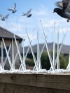 Bird Spikes - Polycarbonate 50cm, Clear, 30-40 Spikes, Corrosion Resistant, No Maintenance