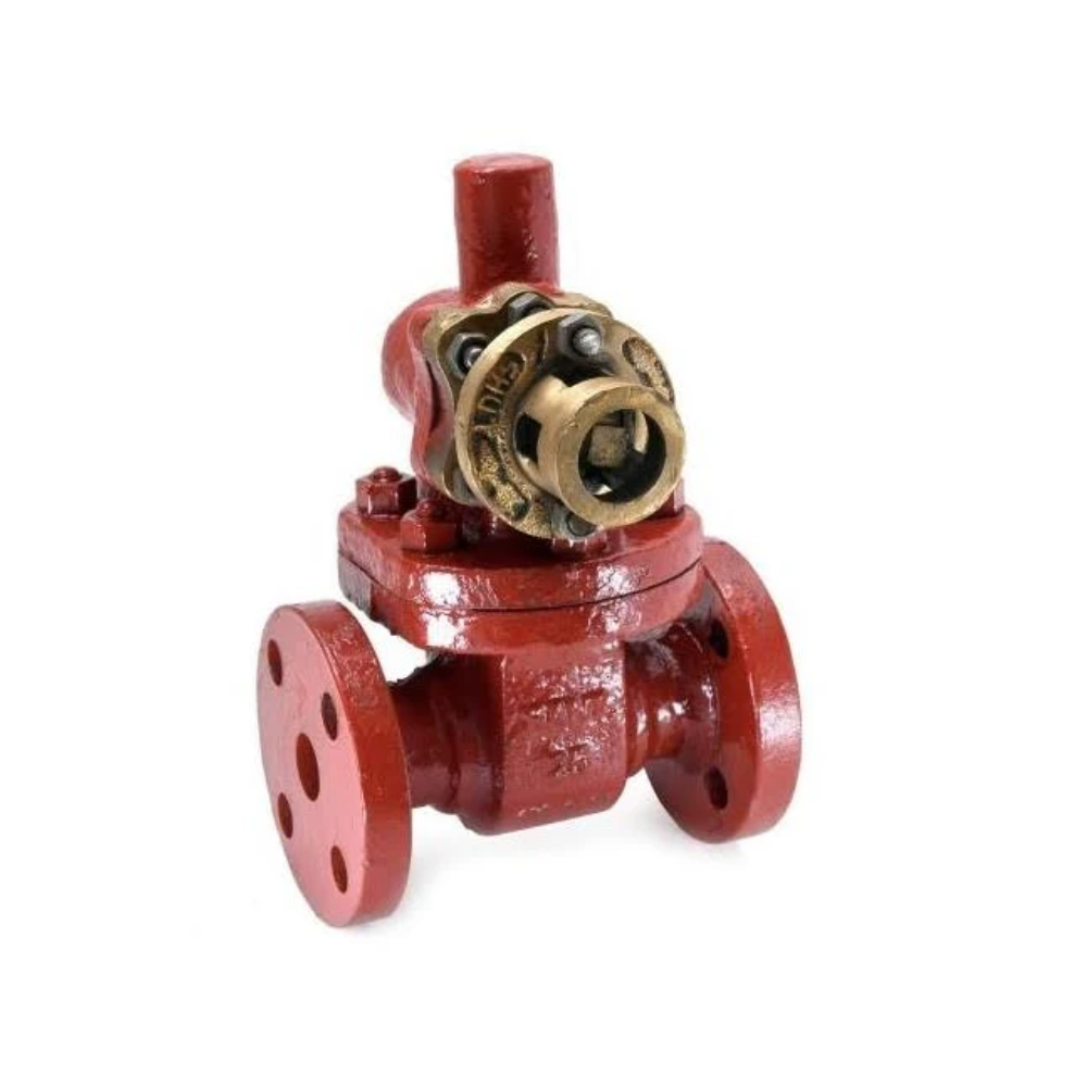 Cast Steel Parallel Slide Blow off Valve Flanged