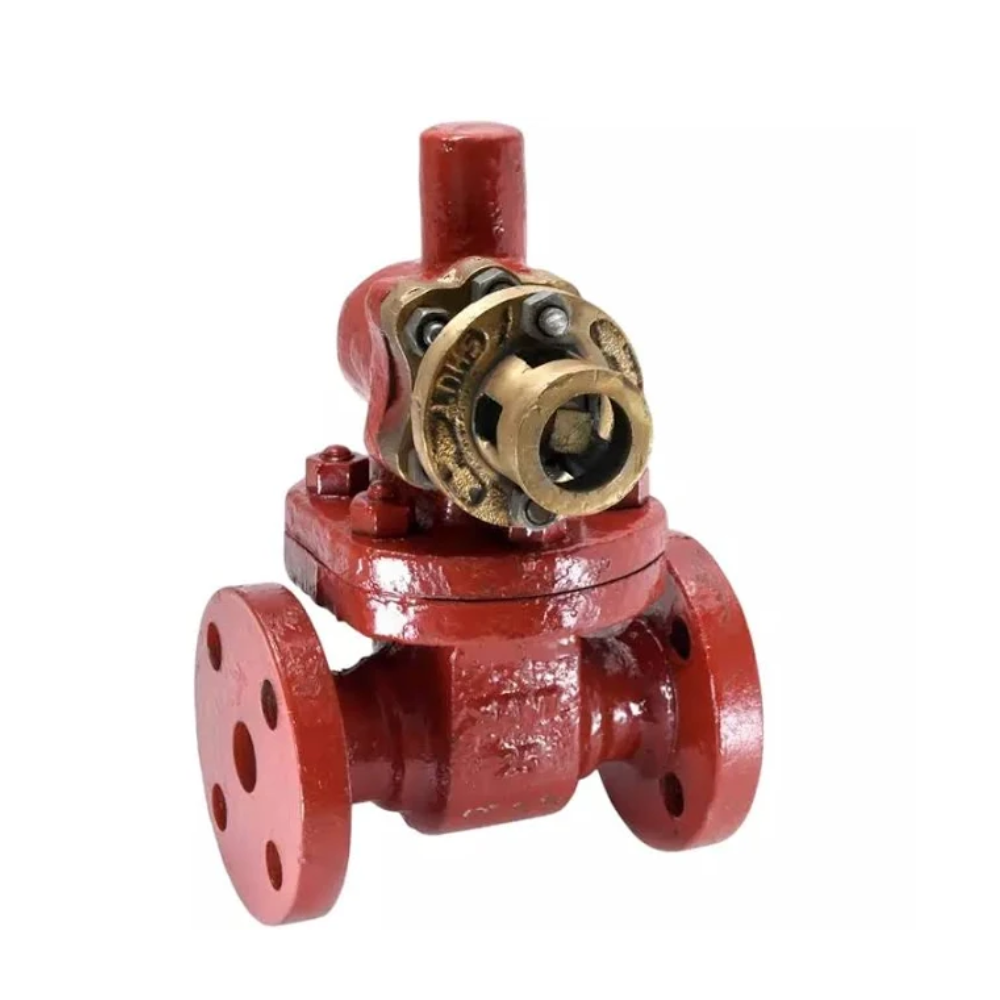 Cast Steel Parallel Slide Blow off Valve Flanged