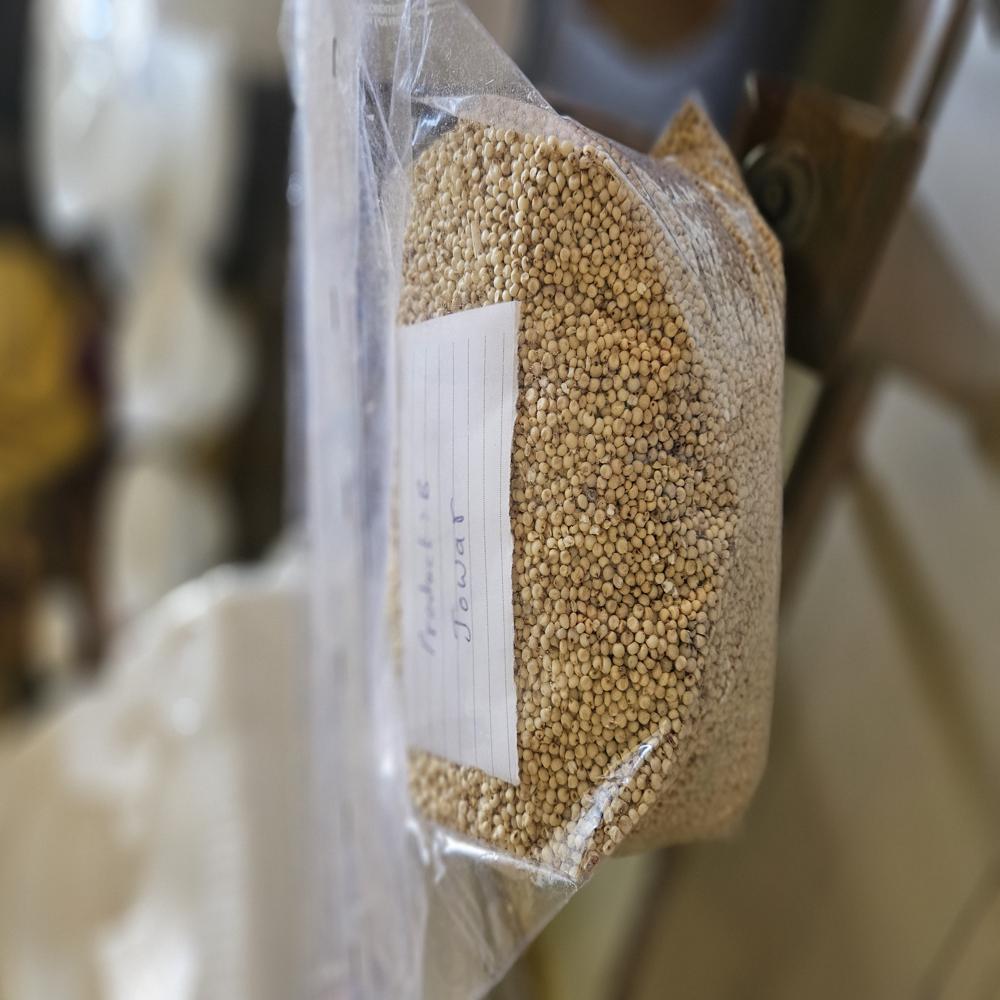 Sorghum Millet