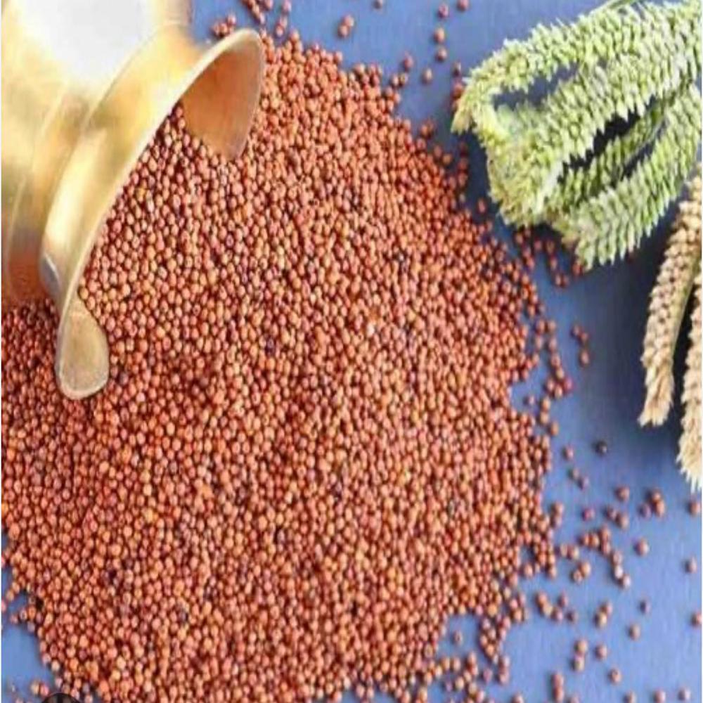 Finger Millet