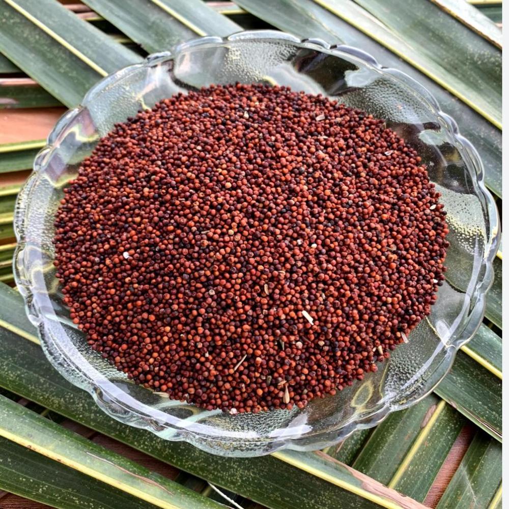 Finger Millet