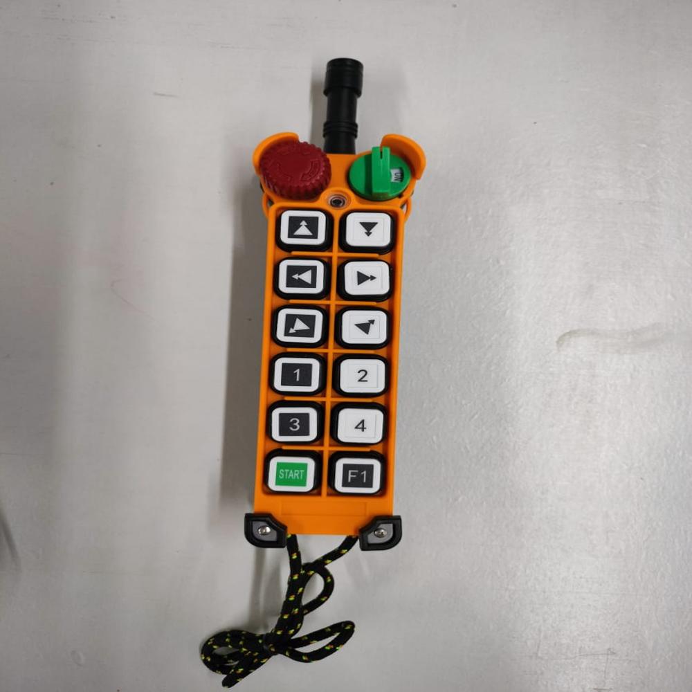 F24-12D Wireless Remote Controller