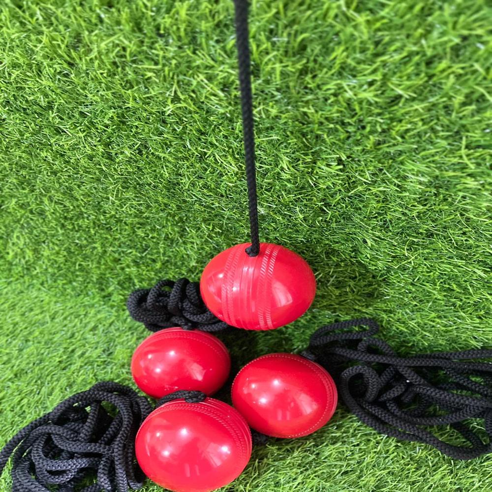 Hanging Ball - Application: Cricket Training