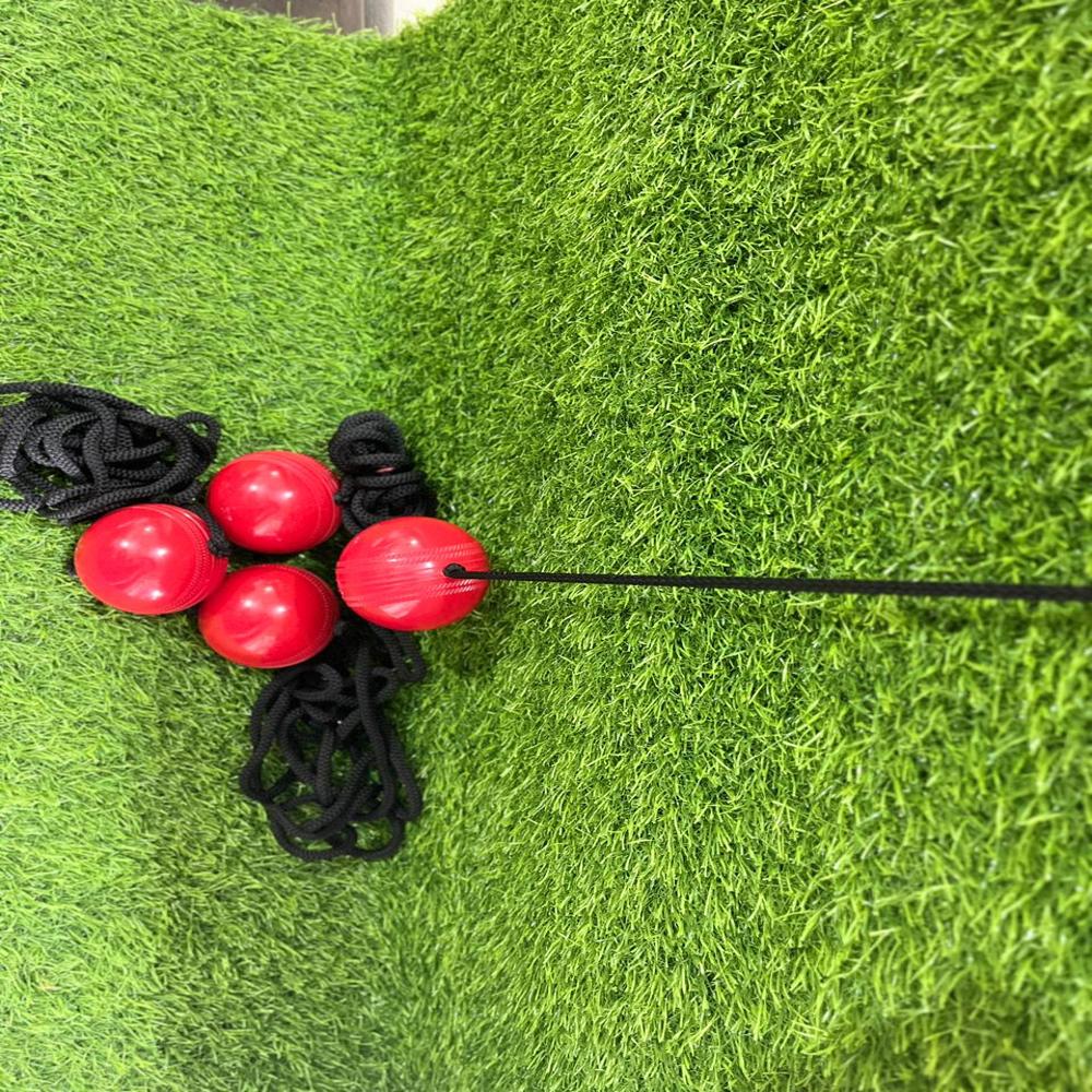 Hanging Ball - Application: Cricket Training