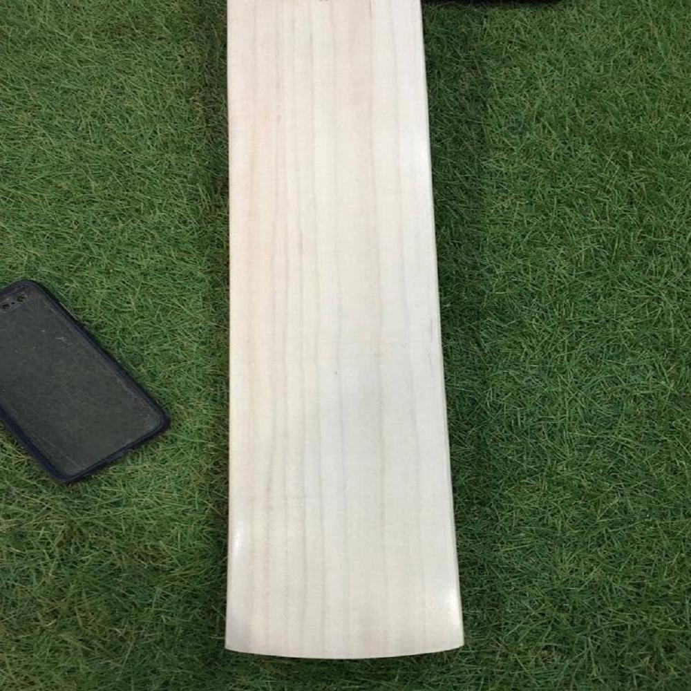 Leather Ball Cricket Bat
