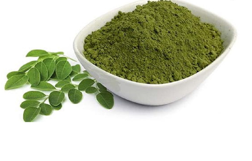 Indigo Leaf Powder - Nil Patta Powder - Indigo Leaves Powder - Indigofera Tinctoria