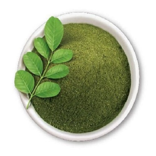 Indigo Leaf Powder - Nil Patta Powder - Indigo Leaves Powder - Indigofera Tinctoria