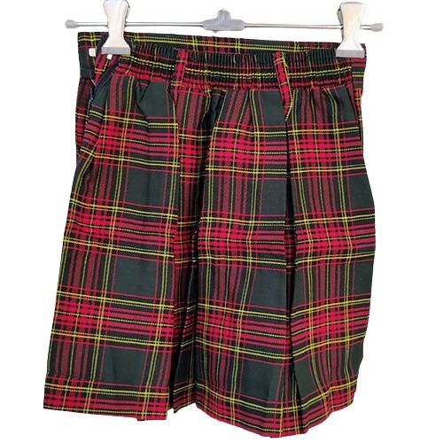 Pleated Skirts School Uniform