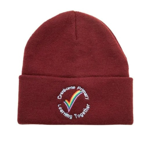 School Winter Caps