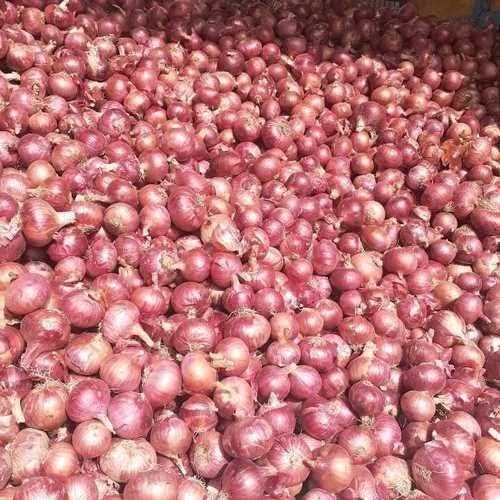 Red Onion
