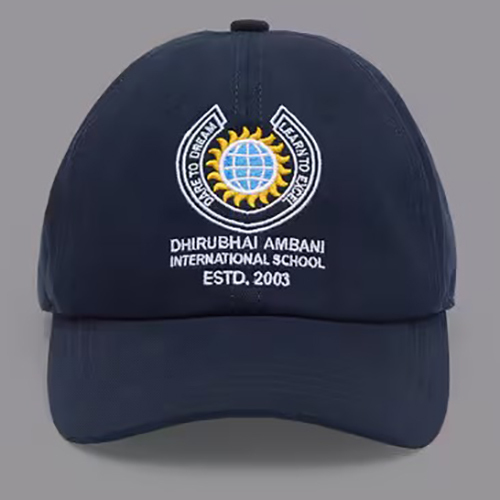 School Caps