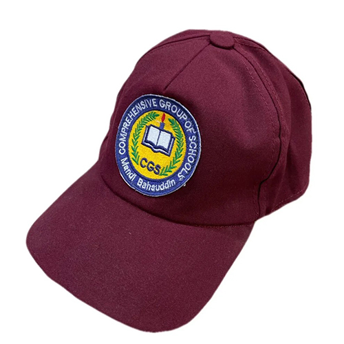 School Caps