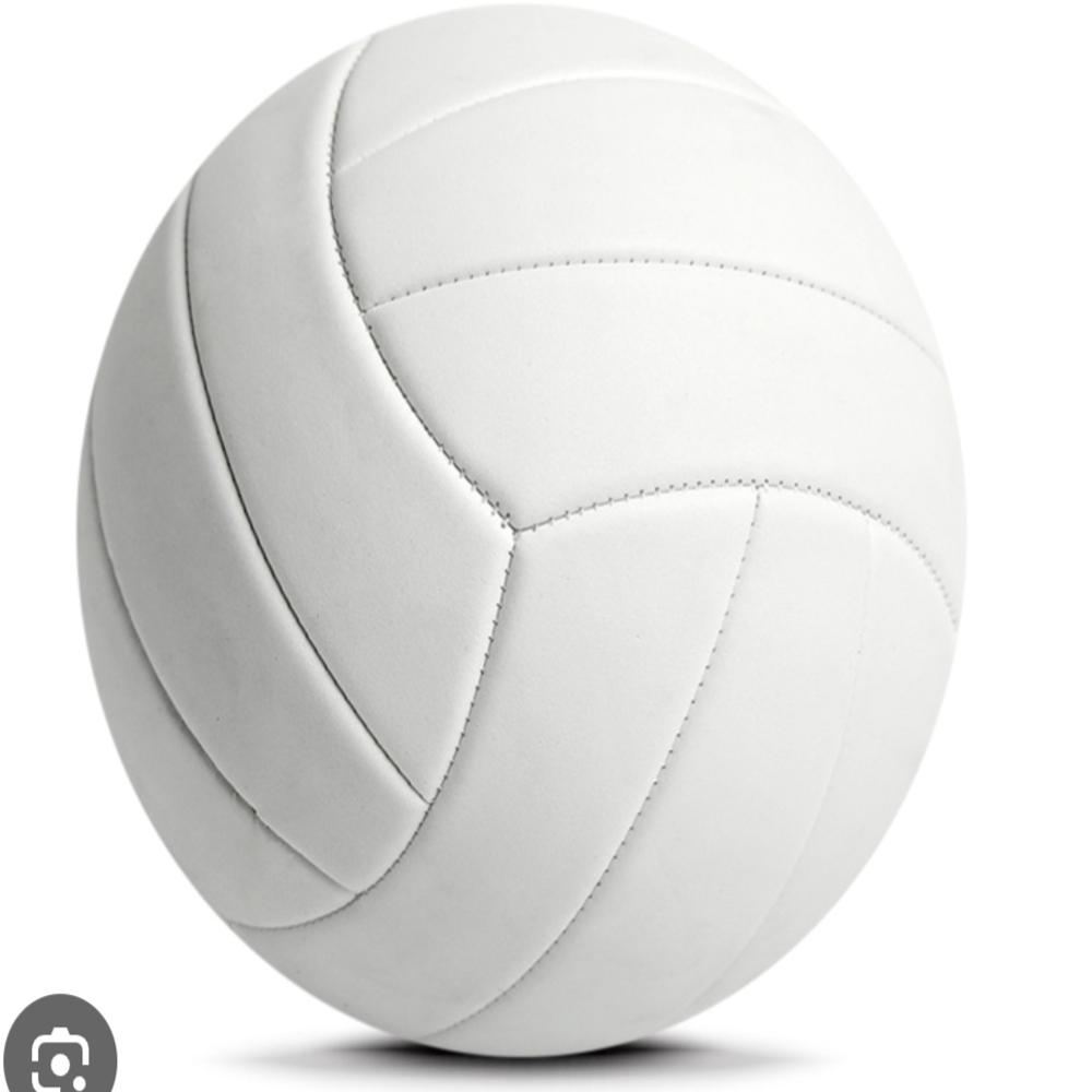 Rimco enterprises Volleyball
