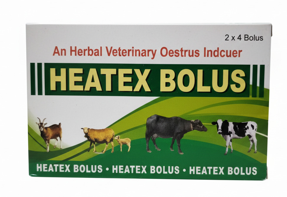 Heatex Bolus Cattle Heat Inducer Supplement - Color: Brown