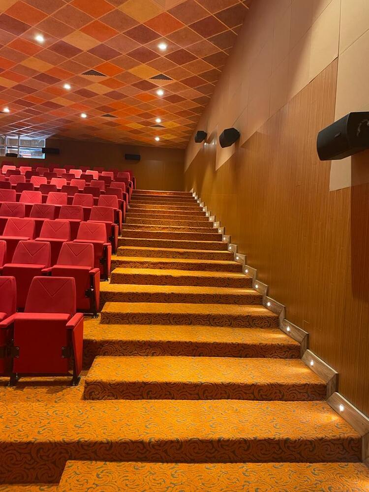 Auditorium Acoustic Solution