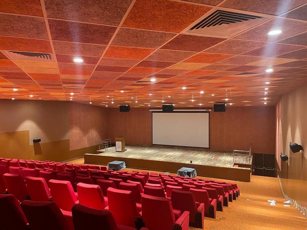 Multiplex Auditorium Acoustics