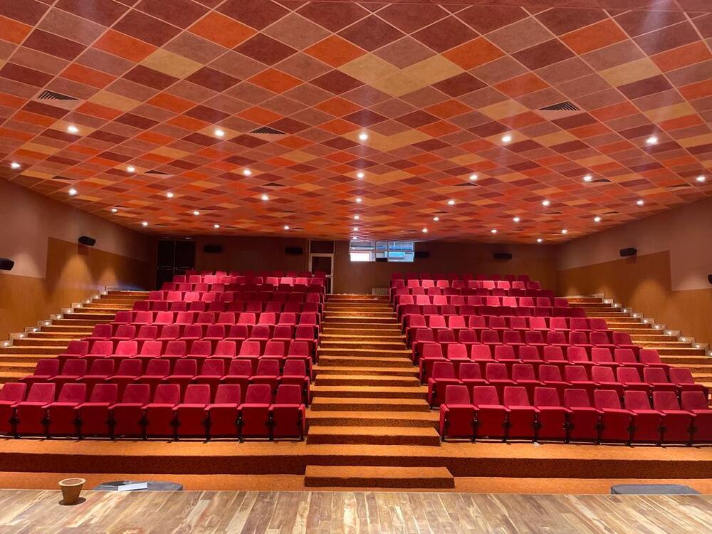 Wood Multicolor Auditorium Interior Acoustic