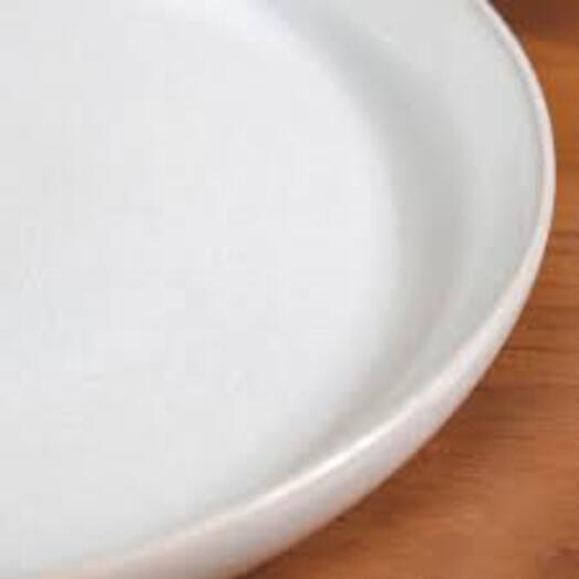 Stainless Steel Porcelain Dish