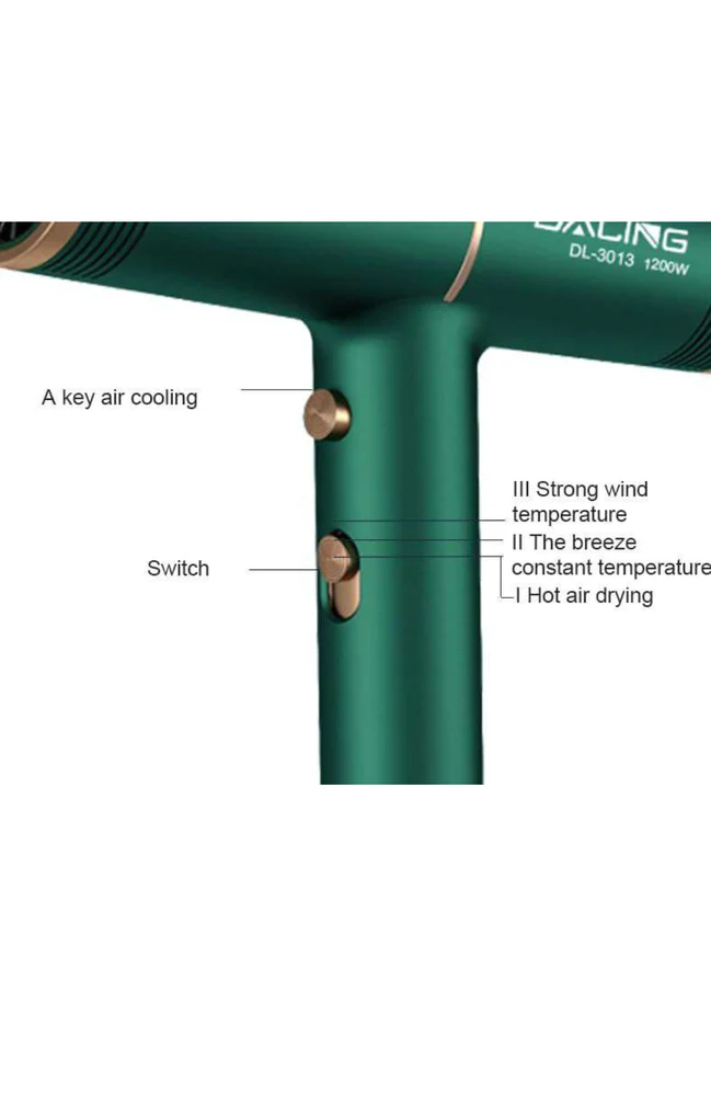 Daling DL-3013 1200W Hair Dryer