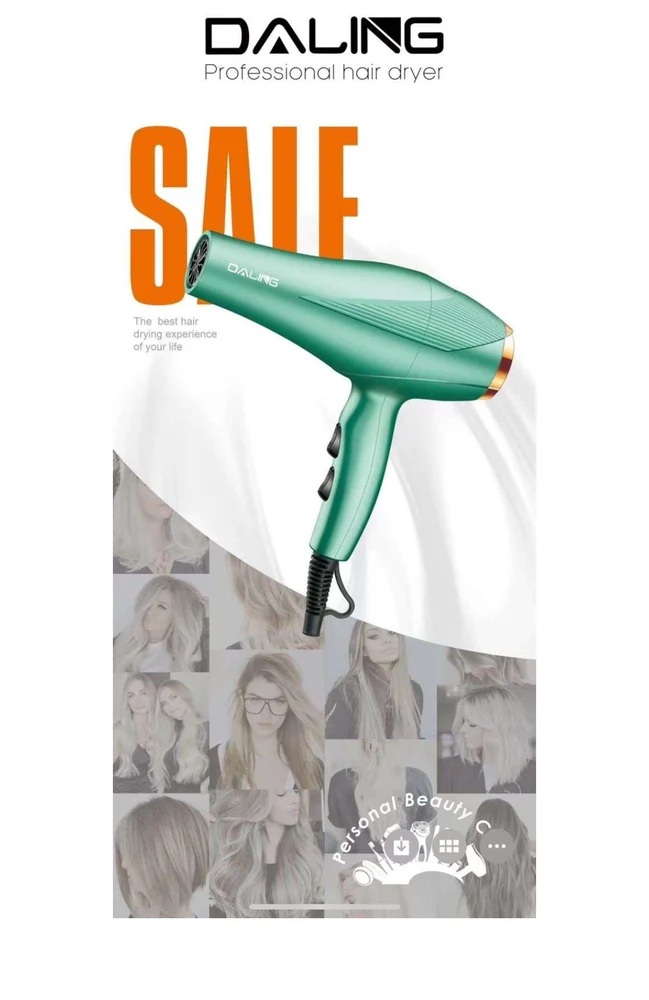 Daling DL-3028 Hair Dryer