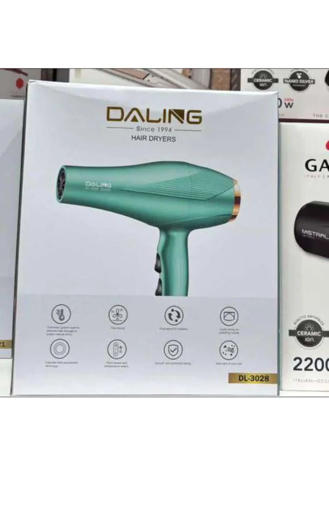 Daling DL-3028 Hair Dryer