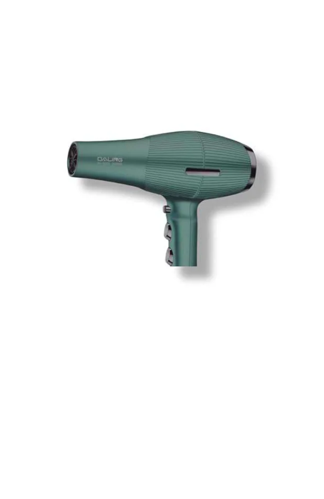 Daling DL-3029 Hair Dryer
