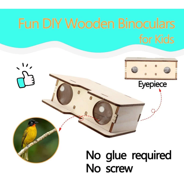 DIY 4 in 1 Wooden Science Experiment Model Kit