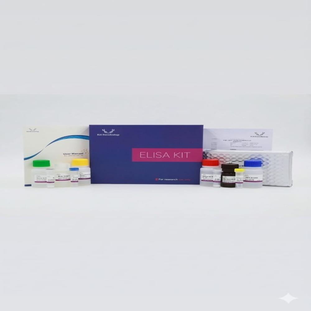 Rabbit Cfd(complement Factor D) Elisa Kit - Shelf Life: 6-12 Months