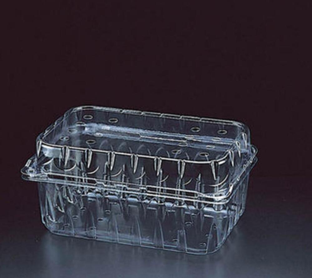 PP Packaging Punnet Box
