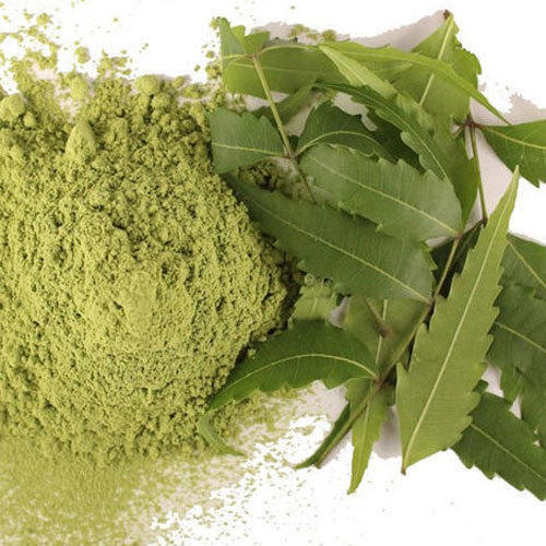 Neem Leaves Powder - Neem Patta Powder - Azadirachta Indica
