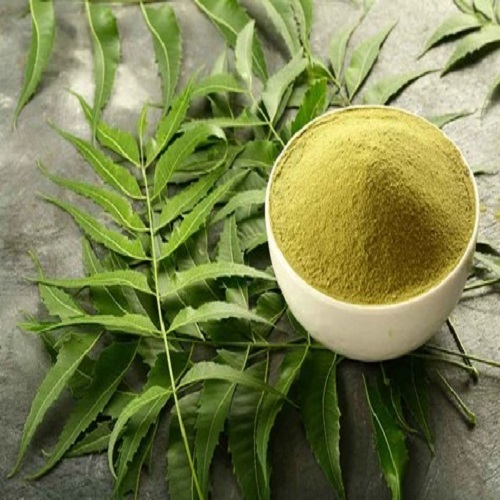 Neem Leaves Powder - Neem Patta Powder - Azadirachta Indica
