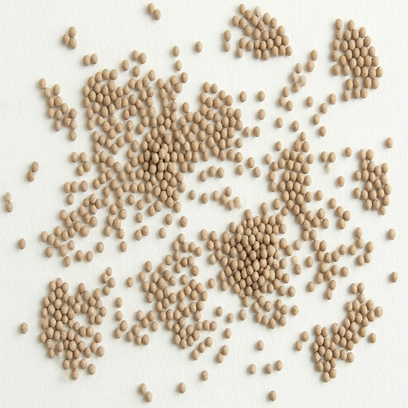 Bead-Active  Ashwagandha pellets 60% Beadlet