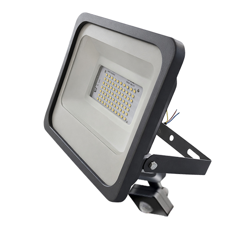 Down Chowk Model LED Flood Light With Motion Sensor