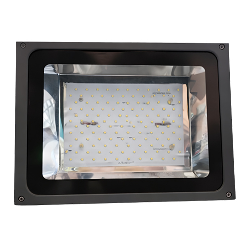 Back Chowk Model LED Flood Light