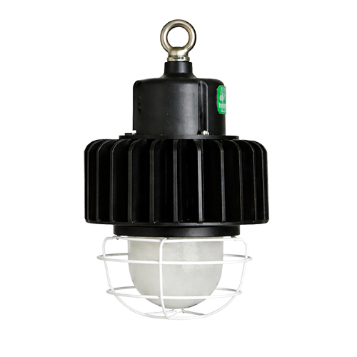 LED Wellglass Weatherproof Non-flameproof Light