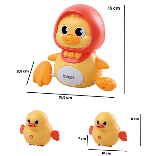 Sensory Toys Series