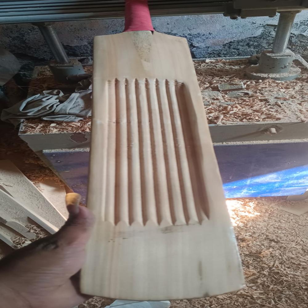 Short Handle Cricket Bat
