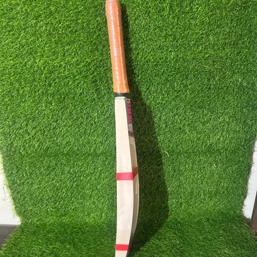 Popular Willow Cricket Bat